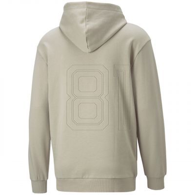 3. Sweatshirt Puma Better Hoodie FL Pebble M 670027 68