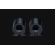 6. Razer Nommo V2 X Vollbereich Schwarz Kabelgebunden und Kabellos