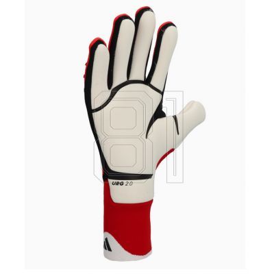 3. adidas Predator Pro M IW6276 Torwarthandschuhe