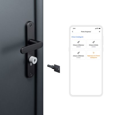 2. Netatmo NDL-K1U Smart Lock Schlüssel (1 Stück)