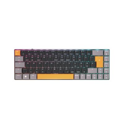 2. CHERRY TAS MX-LP 2.1 Kompakte kabellose DE-Layout-Tastatur schwarz (G80-3860LVADE-2)