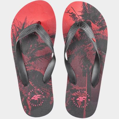 4. Flip-Flops 4F Jr 4FJSS23FFLIM083 62S
