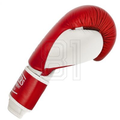 16. MASTERS RBT-TRW 01210-02 Leder-Boxhandschuhe