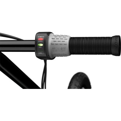 13. RAZOR Elektroroller EcoSmart SUP 13173819