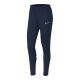 Nike Academy 21 W Hose CV2665-451