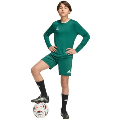 7. adidas Entrada 26 Langarmtrikot für Kinder Grün KF5873