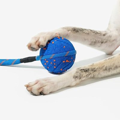 5. CHEERBLE WICKED BALL AIR ROPE-ROYAL BLUE