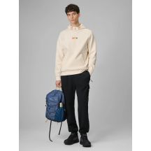 Herren-Cargo-Jogginghose 4F 4FRSS26TTROM1916-20S
