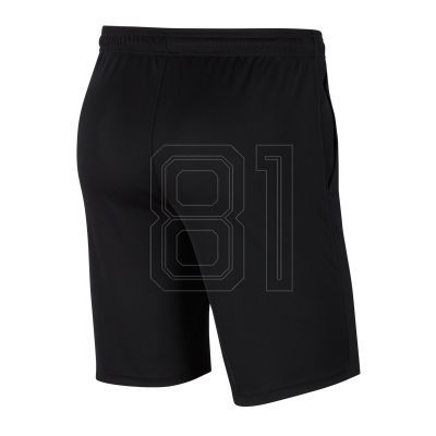 3. Nike Dri-FIT Park 20 M CW6152-010 shorts