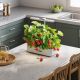 12. GREENBLUE SMARTES INDOOR-ANBAUSYSTEM, SMARTES PFLANZENTOPF, FASSUNGSVERMÖGEN 4 L, FÜR 12 PFLANZEN, VOLLSPEKTRUM-LEDS