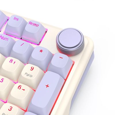 7. REDRAGON EISA 100 K768VI-WL Tastatur