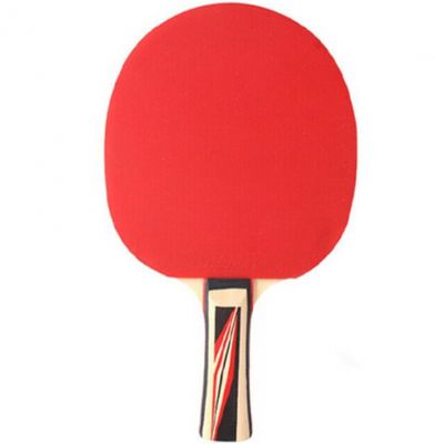 2. Donic Top Team 600 Tischtennisschläger 733236
