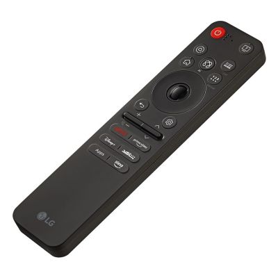 13. LG MR25GA AI Magic Remote
