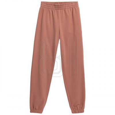 Trousers 4F W 4FSS23TTROF147 64S