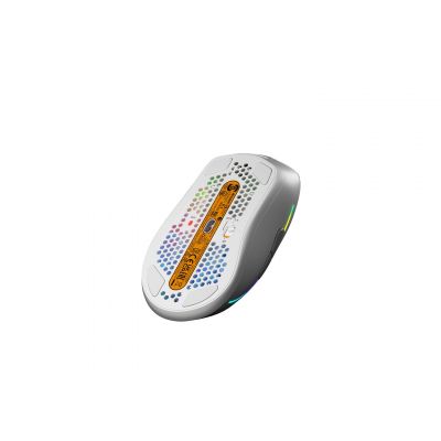 6. Glorious Gaming Glorious Model D 2 Wireless Gaming-Maus - weiß
