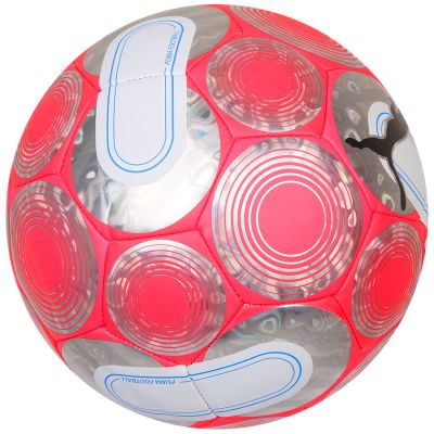 6. Puma Cage Ball 084074-01 Fußball