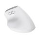 7. TRUST Bayo+ Kabellose ergonomische Multigeräte-Maus
