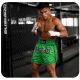 3. Herren-Thai-Shorts PASTEL GREEN V2 COMBATWEAR | DBX Bushido
