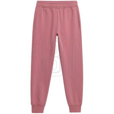 Outhorn Hose W OTHAW22TTROF041 53S