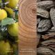 5. Mittlere Kerze CASHMERE WOODWICK