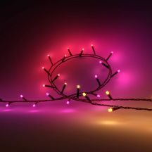 Philips Hue Festavia Lichterkette, 250 LEDs, 20 m | 14 W | Variabel