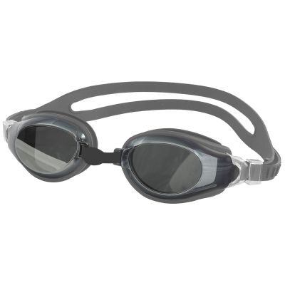 2. Aqua-Speed Champion Silver Schwimmbrille 26/038