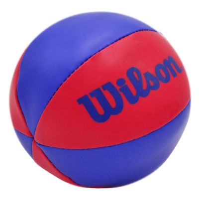 14. Basketball-Backboard 29x24CM NBA WILSON + Ball WTBA1302NBARD