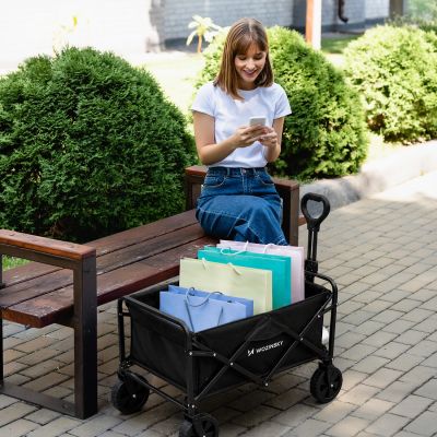 15. Wozinsky WZP-80 Strand-, Touristen- und Gartenwagen, robust, breite Räder, bis 80 kg - schwarz