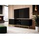 2. PAFOS TV-Schrank auf goldfarbenem Stahlgestell, 150x40x60, matt schwarz