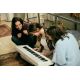 8. CASIO CT-S1 WE – Keyboard
