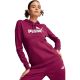10. Puma ESS Logo Hoodie FL W 586789 52