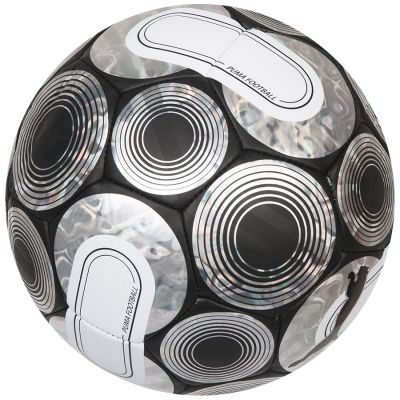5. Puma Cage Ball 084074-03 Fußball
