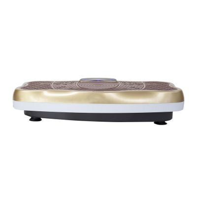 2. SVP03 GOLD Vibrationsplatte HMS