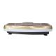 2. SVP03 GOLD Vibrationsplatte HMS
