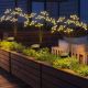 8. Solarlampe Löwenzahnbaum Feuerwerk 72 cm 60 LED