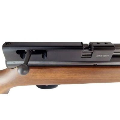 5. K.PN. BEEMAN CHIEF II PLUS mit PCP-Regler - Holz k. 5,5 mm Ekp