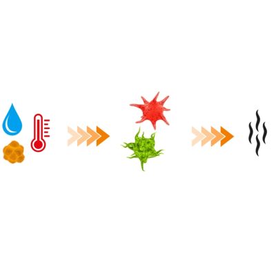 11. Lufterfrischer und Luftentfeuchter für Sportgeräte | DBX Dryer 2.0