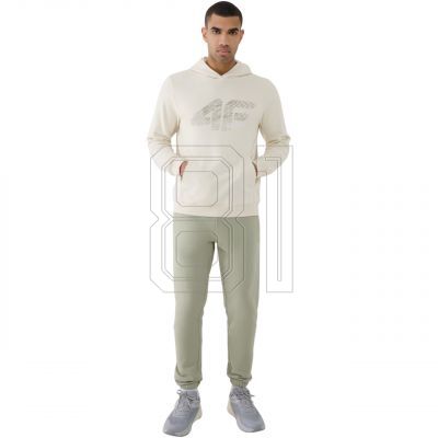 6. Sweatshirt 4F M1585 M 4FWSS25TSWSM1585 12S