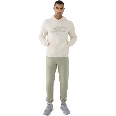 6. Sweatshirt 4F M1585 M 4FWSS25TSWSM1585 12S