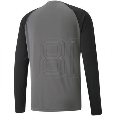 2. Puma teamPacer GK LS M goalkeeper sweatshirt 704933 43