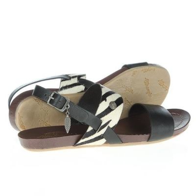 Wrangler Lola Safari WL141652-62