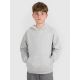 Jungen-Sweatshirt mit Kapuze, offen, 4F 4FJWMM00TSWSM1860-25M
