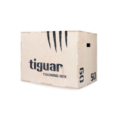 2. tiguar Trainingsbox