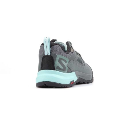 17. Salomon X Alp Spry Gtx 401619