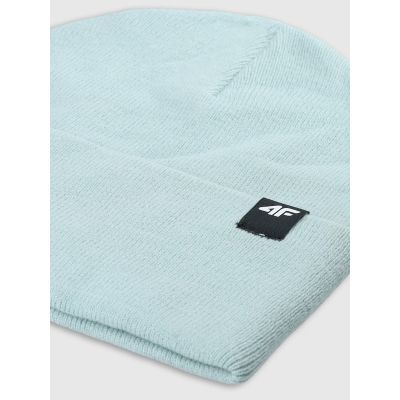 2. Unisex-Wintermütze 4F 4FWAW24ACAPU512-42S