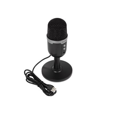 2. BLOW STUDIO-MIKROFON MIT LED-STÄNDER