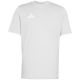 9. Herren adidas Entrada 26 Tee grau JZ6677