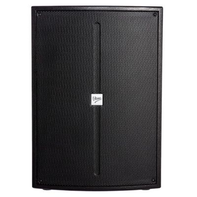 V-TONE NBS-115 Aktivlautsprecher Bass-Subwoofer 15"