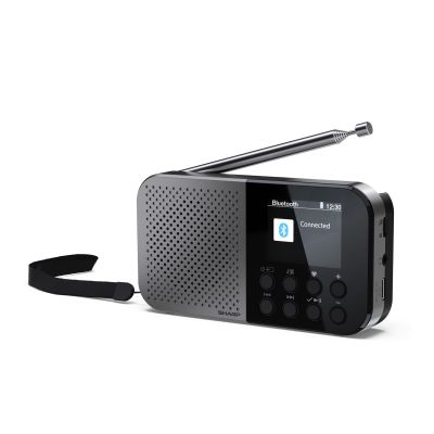 Sharp DR-P520 Personal Digital Grau