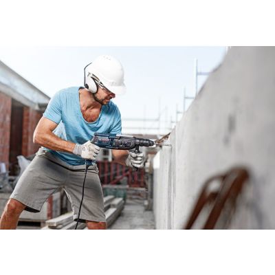 Bosch 1 618 596 233 Hammerbohrer 1 Stück.